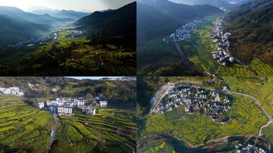 江西婺源江岭油菜花梯田高清在线视频素材下载