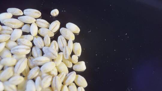 大麦麦子粮食水稻五谷粗粮视频素材模板下载