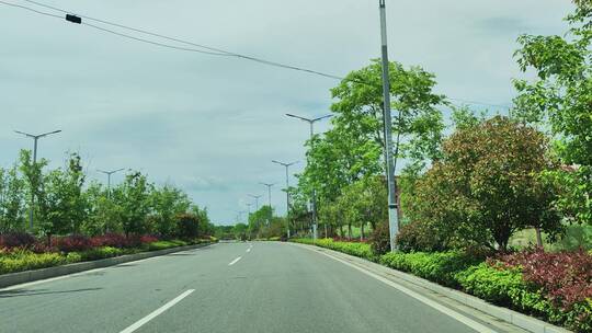 城市公路蓝天白云花草树木绿色植物