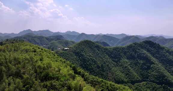 航拍浙江山区竹山竹林竹海大气治愈