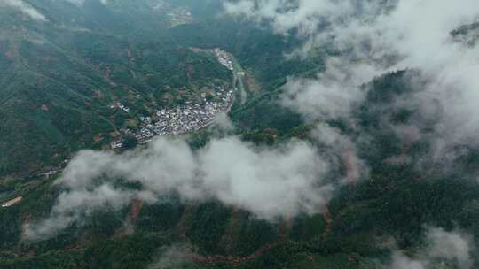 黄山毛峰茶园茶山茶文化航拍