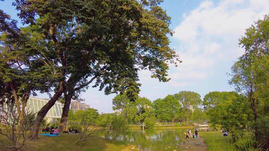 香蜜公园湖畔绿色草地休闲的人们视频素材模板下载