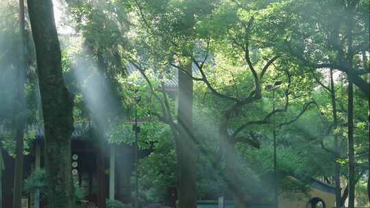 杭州灵隐寺 古建筑 清晨日出 光影