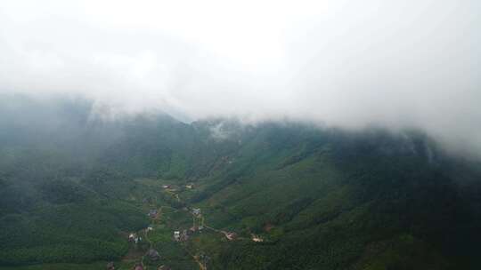 航拍武夷山桐木麻粟村正山小种老枞红茶山场