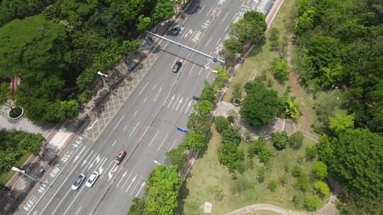 林间道路