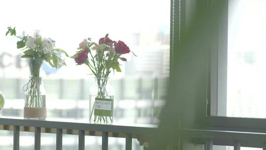 实拍办公楼休闲区窗外玻璃罐花瓶绿植玫瑰花视频素材模板下载