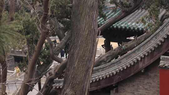 山西太原晋祠素材