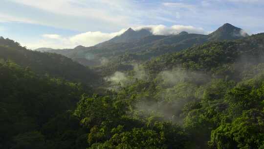 云南森林航拍植物植被自然风景晨曦云雾视频素材模板下载