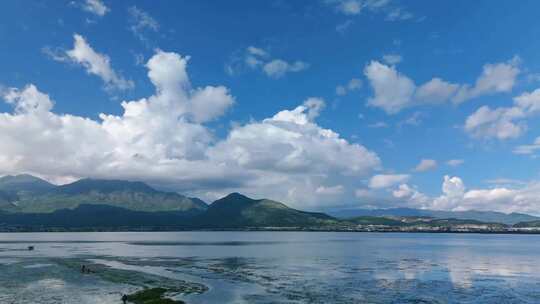 拉市海湿地公园夏天