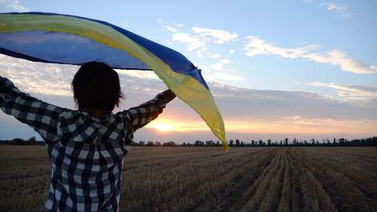 日出时，乌克兰女士在大麦草地上与国家蓝石