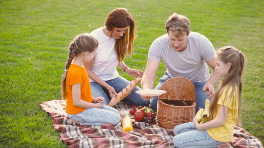 户外野餐的幸福家庭视频素材模板下载