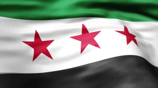 飘扬的叙利亚国旗视频素材