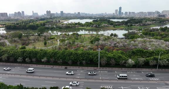 广州海珠湖公园航拍