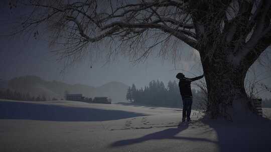 人，行走，雪，树