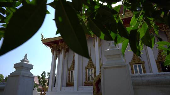 洛阳白马寺国际佛殿泰国寺庙古建筑光影