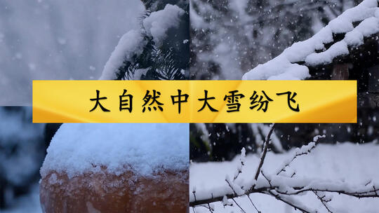 大自然中大雪纷飞