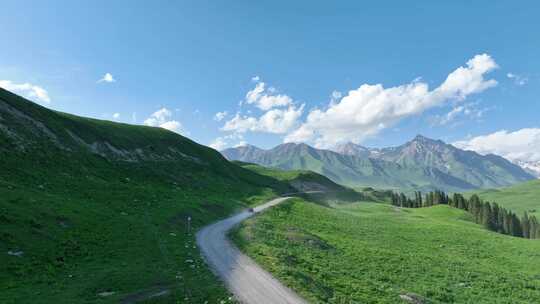 孟克特古道 新疆 雪山草原 旅行自驾