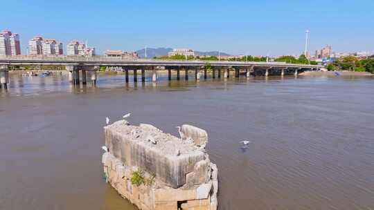 顺济桥 泉州 泉州顺济桥