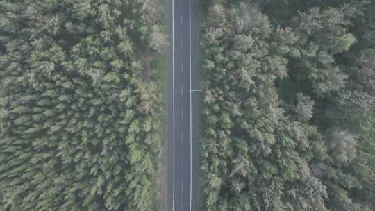 海南环岛公路航拍视频素材模板下载