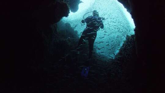 潜水海洋鱼群幽蓝海底
