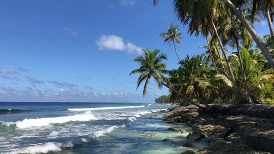 海边沙滩海浪椰子树