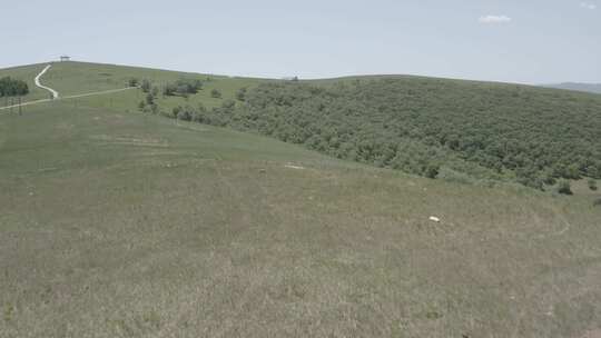 航拍内蒙古呼和浩特敕勒川高山草原夏季风光