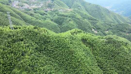 平塘马安竹海航拍 竹林森林云海