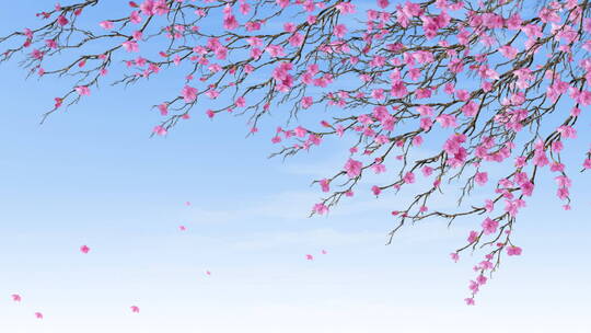 春天粉色花朵开满树枝浪漫温馨婚礼