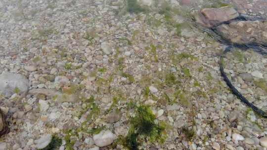海边沙滩鹅卵石