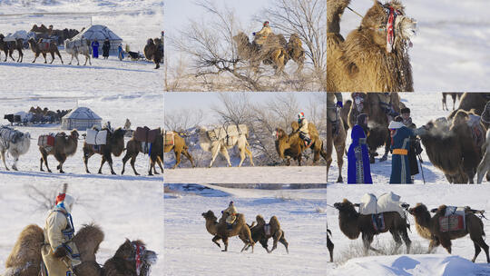 【10条合集】蒙古族民俗传统文化-51高清在线视频素材下载