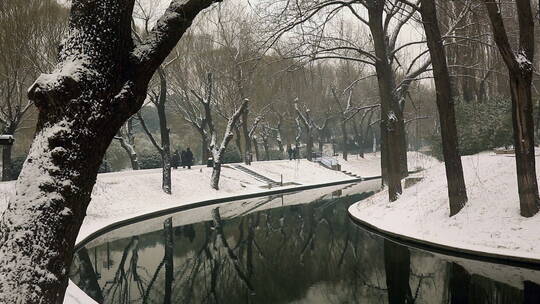 北京紫竹院公园河岸雪景