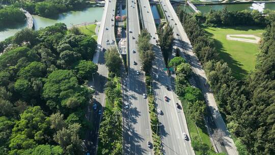 深圳滨海大道车流交通道路绿化