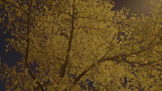 秋天夜晚路灯下的银杏树夜晚城市交通LOG