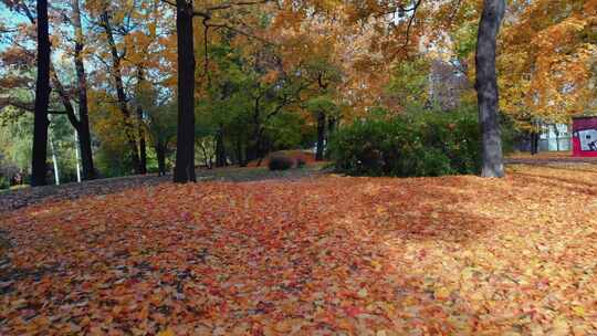 秋天公园的美丽视频素材模板下载