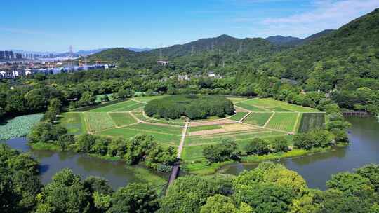 杭州市八卦田遗址公园航拍风光