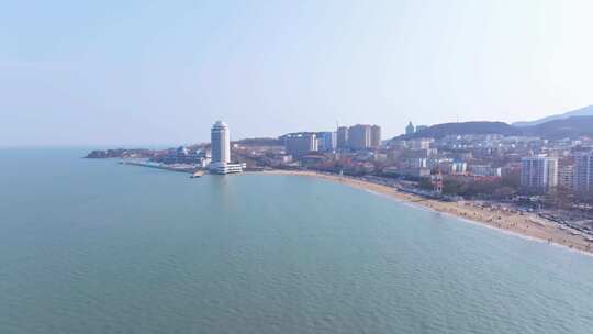 烟台滨海广场 海鸥