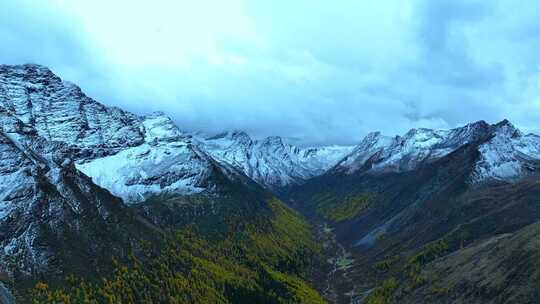 雪山下多彩树林的壮丽景观