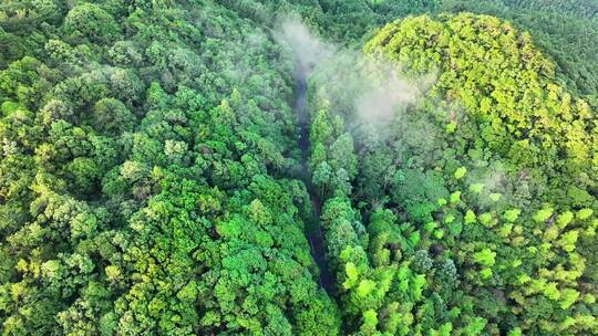 汽车穿越行驶在高山森林云海盘山公路航拍