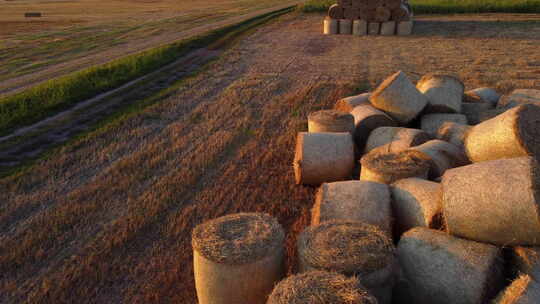 日落日出农村时，许多扭曲的干麦草在田间卷