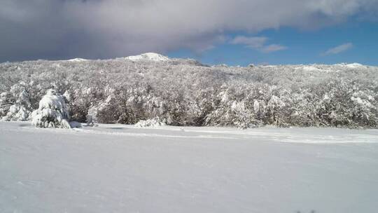 积雪覆盖着乡村