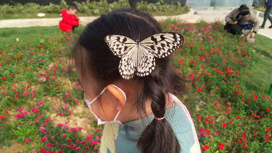 女孩头上美丽的蝴蝶