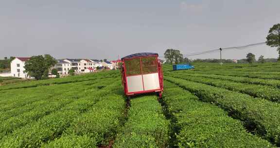 农机茶园采茶航拍