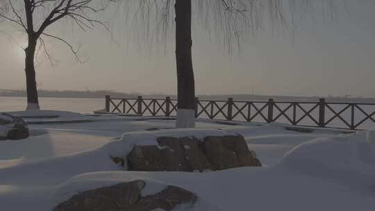 沈阳丁香湖雪景银装素裹的雪后树林景色