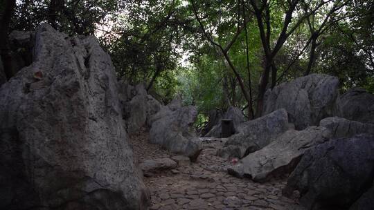 杭州灵隐寺飞来峰顶