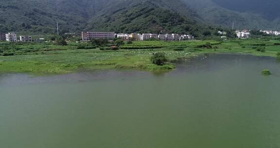 福建 莆田 城厢 常太 岭下 美丽乡村 水库