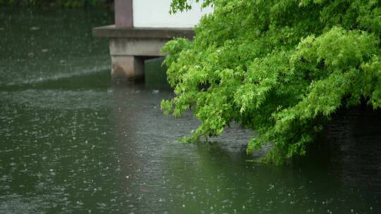 162 杭州 风景 古建筑 下雨天 亭子 湖面