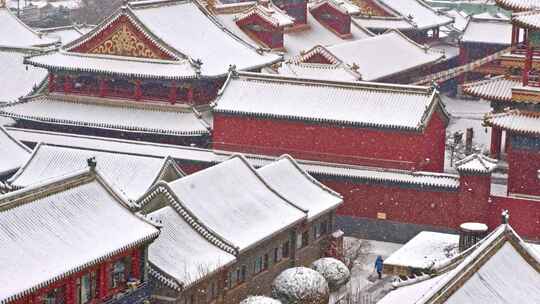 下雪中的北京雍和宫