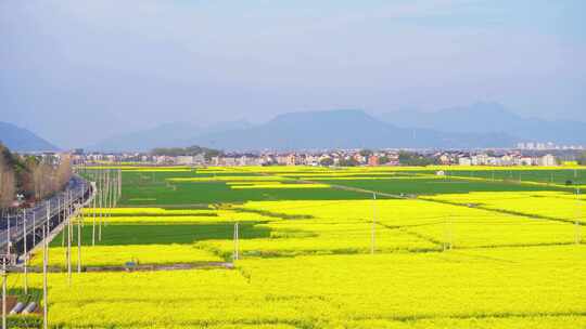 杭州富春江包家淇村春天风景