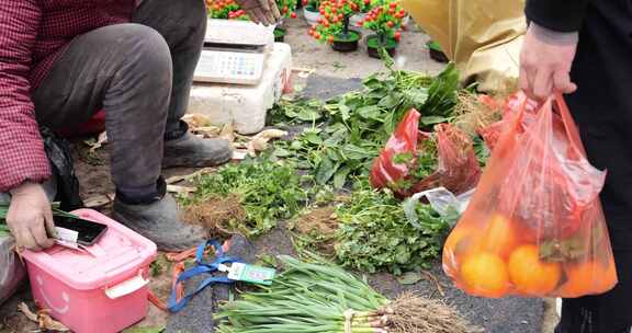 过年集市 春节 买卖 摊贩 赶年集 大集