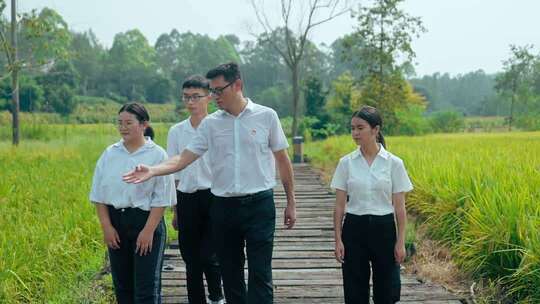 乡村三农振兴农业经济发展